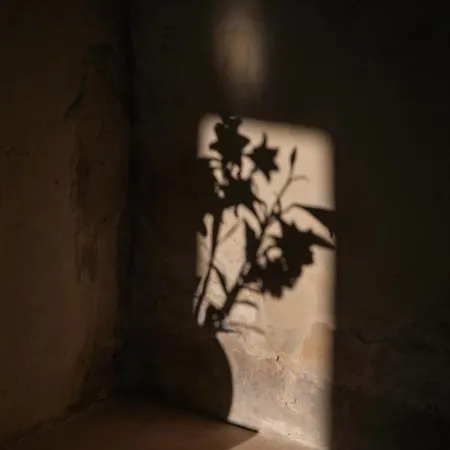 Convento Francescano Experience Cilento リゾート Cuccaro Vetere