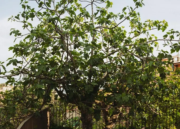 Convento Francescano Experience Cilento Resort Cuccaro Vetere