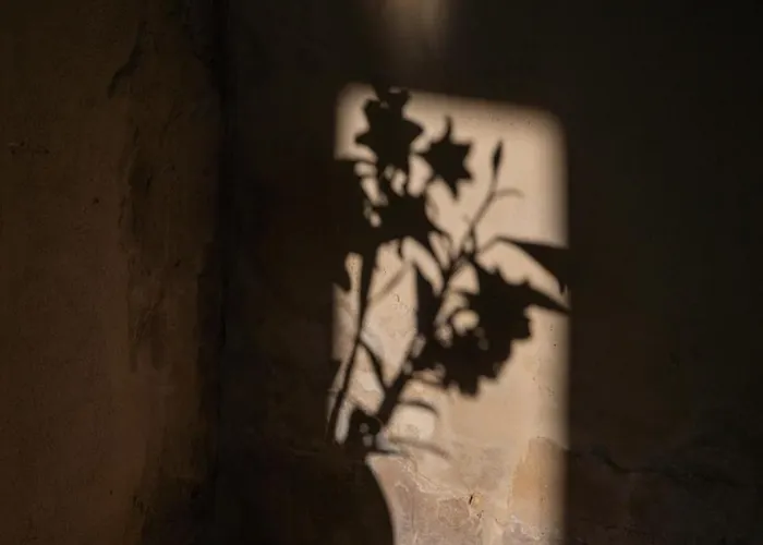 Convento Francescano Experience Cilento Resort Cuccaro Vetere